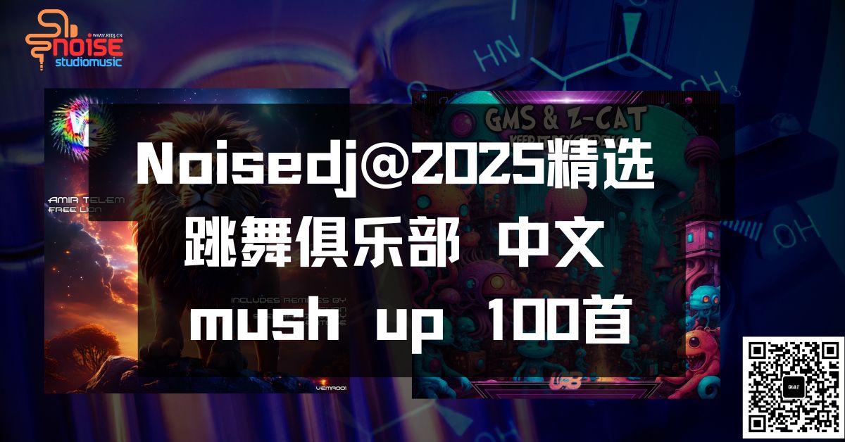 Noisedj@2025精选 跳舞俱乐部 中文 mush up 100首